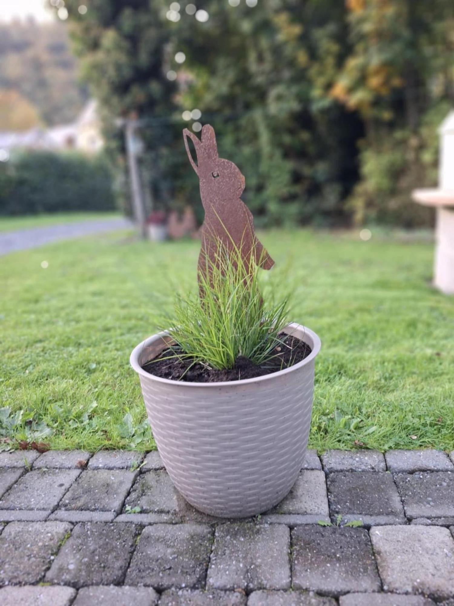 Label Semois Gite Rural 3 Epis Bouillon Exterior foto